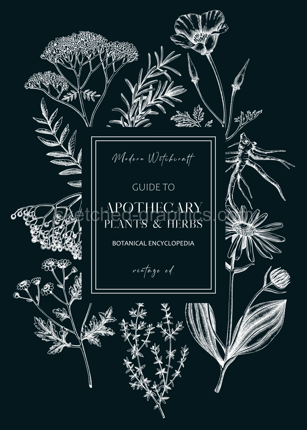 Apothecary plant frame design. Witchcraft book cover. Herbal remedies, medicinal plant, natural medicine hand-drawn vector illustration on chalkboard. Vinatge herbs background. NOT AI genereted Illustration